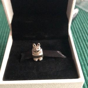 Authentic Pet Kitty Cat Pandora Charm